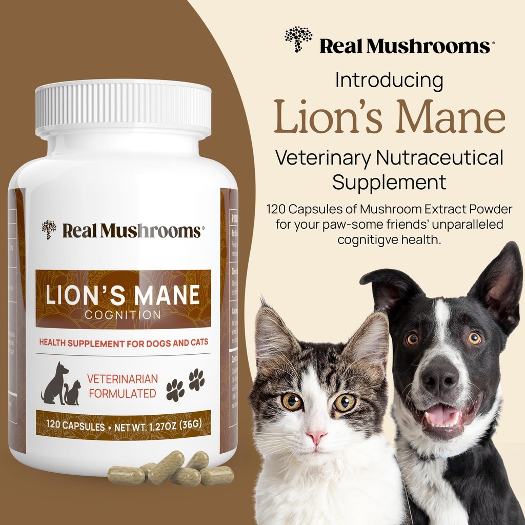 real-mushrooms-lion-s-mane-pet-mushroom--3.jpg