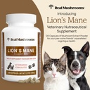 real-mushrooms-lion-s-mane-pet-mushroom--3.jpg