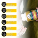 brain-supplements-for-memory-and-focus-1-4.jpg