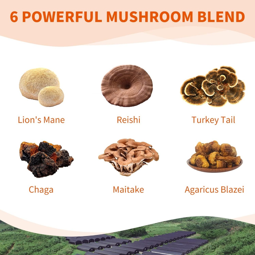 mushroom-supplement-complex-lions-mane-r-2.jpg