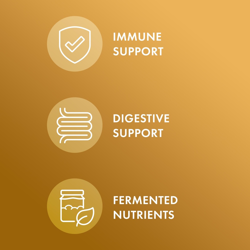 dr-mercola-fermented-ginger-with-benegut-3.jpg