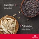 health-concerns-astra-essence-herbal-ton-3.jpg
