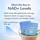 belano-the-standard-lab-nac600-nad-daily-3.jpg