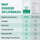 spliferikou-ecklonia-cava-extract-800mg--3.jpg