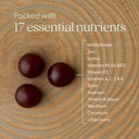 new-chapter-men-s-multivitamin-gummies-5-4.jpg