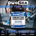 creatine-monohydrate-gummies-for-men-wom-2.jpg