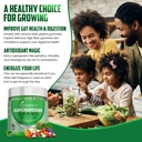 impact-supergreens-youth-athletic-gummie-2.jpg
