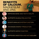 calcium-magnesium-zinc-supplement-gummie-2.jpg