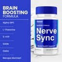 2-pack-nerve-sync-capsules-nervesync-pil-3.jpg