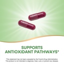 nature-s-way-beet-root-capsules-supports-3.jpg