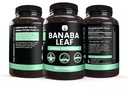 pure-original-ingredients-banaba-leaf-ex-4.jpg