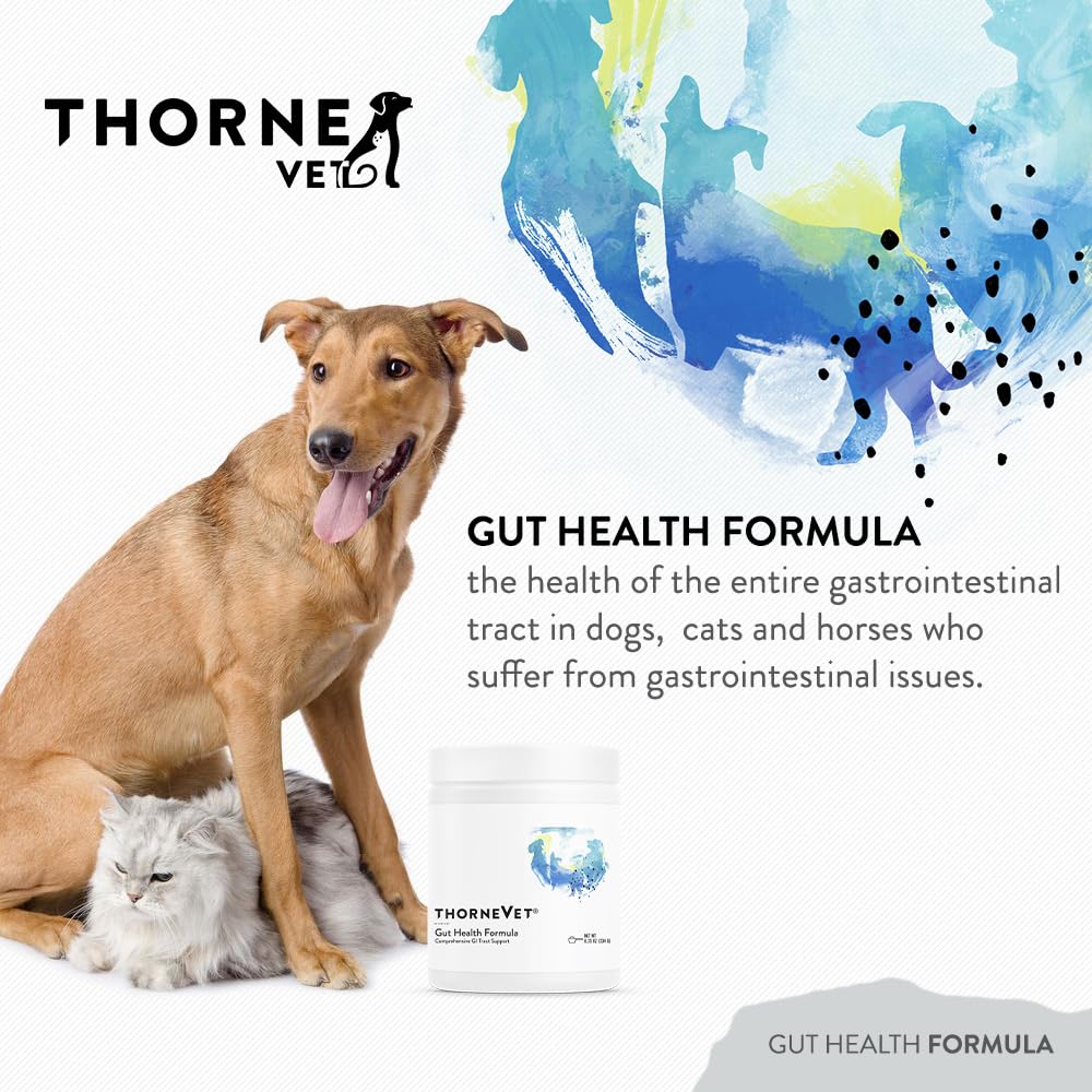 thornevet-gut-health-formula-gastrointes-2.jpg