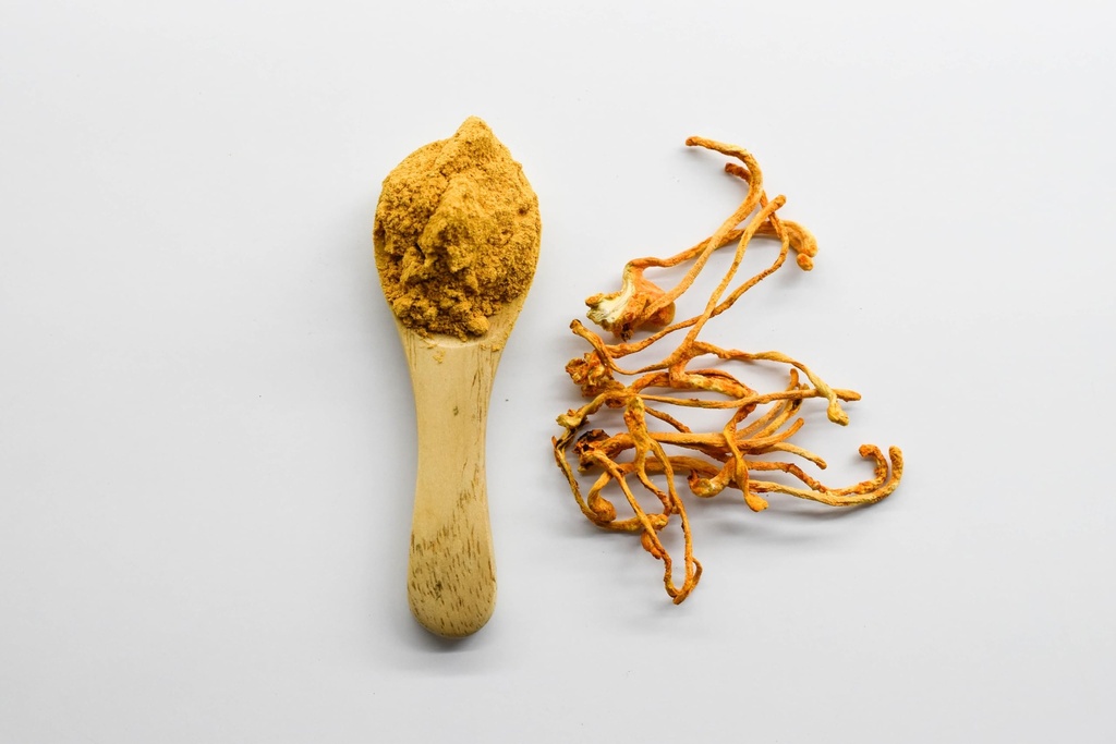 terrasoul-superfoods-organic-cordyceps-5-2.jpg