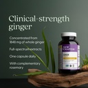 new-chapter-ginger-supplement-force-with-3.jpg