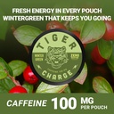 5-pack-caffeine-pouches-100-pouches-tota-4.jpg