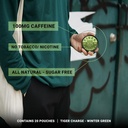5-pack-caffeine-pouches-100-pouches-tota-5.jpg