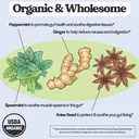wholesome-story-immune-support-bundle-na-6.jpg