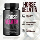 5-pack-horse-gelatin-capsules-official-h-6.jpg