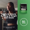 optimum-nutrition-serious-mass-weight-ga-4.jpg