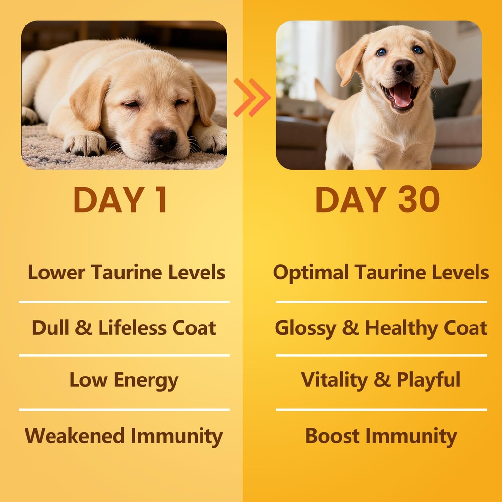 pure-taurine-for-dogs-taurine-powder-sup-5.jpg