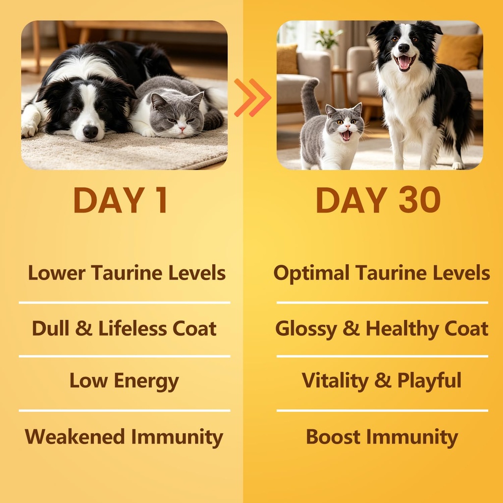 pure-taurine-for-dogs-cats-taurine-powde-5.jpg