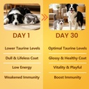 pure-taurine-for-dogs-cats-taurine-powde-5.jpg