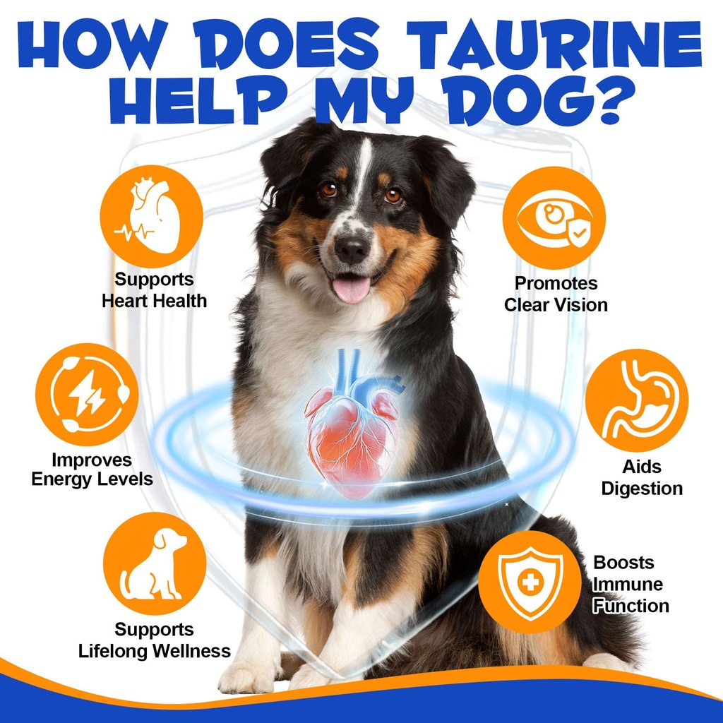 taurine-powder-for-dogs-pure-dog-taurine-2.jpg