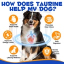 taurine-powder-for-dogs-pure-dog-taurine-2.jpg
