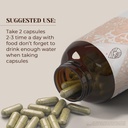 blue-vervain-120-capsules-high-potency-h-2.jpg