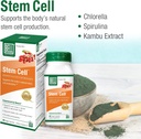 bell-stem-cell-supplements-supports-your-3.jpg