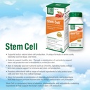 bell-stem-cell-supplements-supports-your-2.jpg