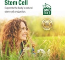bell-stem-cell-supplements-supports-your-5.jpg