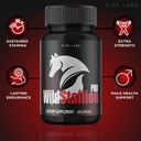 rize-labs-wild-stallion-pro-capsules-wil-4.jpg