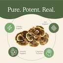 real-mushrooms-turkey-tail-powder-for-hu-4.jpg