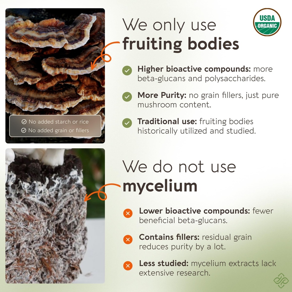 organic-turkey-tail-mushroom-capsules-su-5.jpg