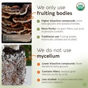 organic-turkey-tail-mushroom-capsules-su-5.jpg