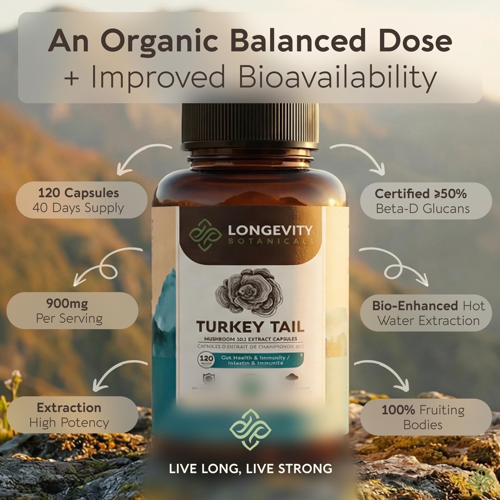 organic-turkey-tail-mushroom-capsules-su-4.jpg