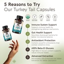organic-turkey-tail-mushroom-capsules-su-3.jpg