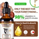 turkey-tail-mushroom-for-dogs-natural-tu-4.jpg