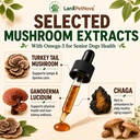 turkey-tail-mushroom-for-dogs-lipoma-sup-5.jpg