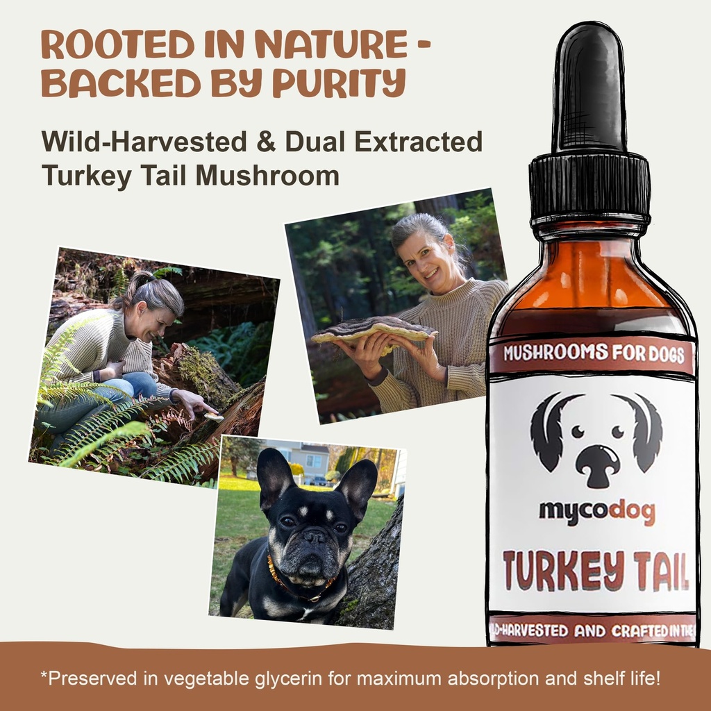mycodog-turkey-tail-mushroom-for-dogs-im-3.jpg