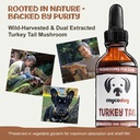 mycodog-turkey-tail-mushroom-for-dogs-im-3.jpg