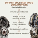 mycodog-turkey-tail-mushroom-for-dogs-im-4.jpg