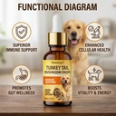 turkey-tail-mushroom-for-dogs-immune-sup-4.jpg