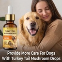 turkey-tail-mushroom-for-dogs-immune-sup-2.jpg
