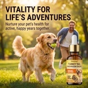 turkey-tail-mushroom-for-dogs-immune-sup-5.jpg