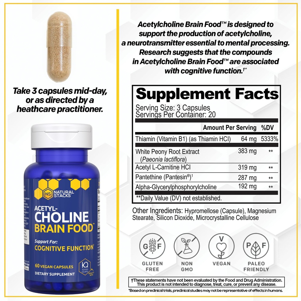 acetylcholine-brain-food-acetyl-l-carnit-2.jpg