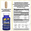 acetylcholine-brain-food-acetyl-l-carnit-2.jpg