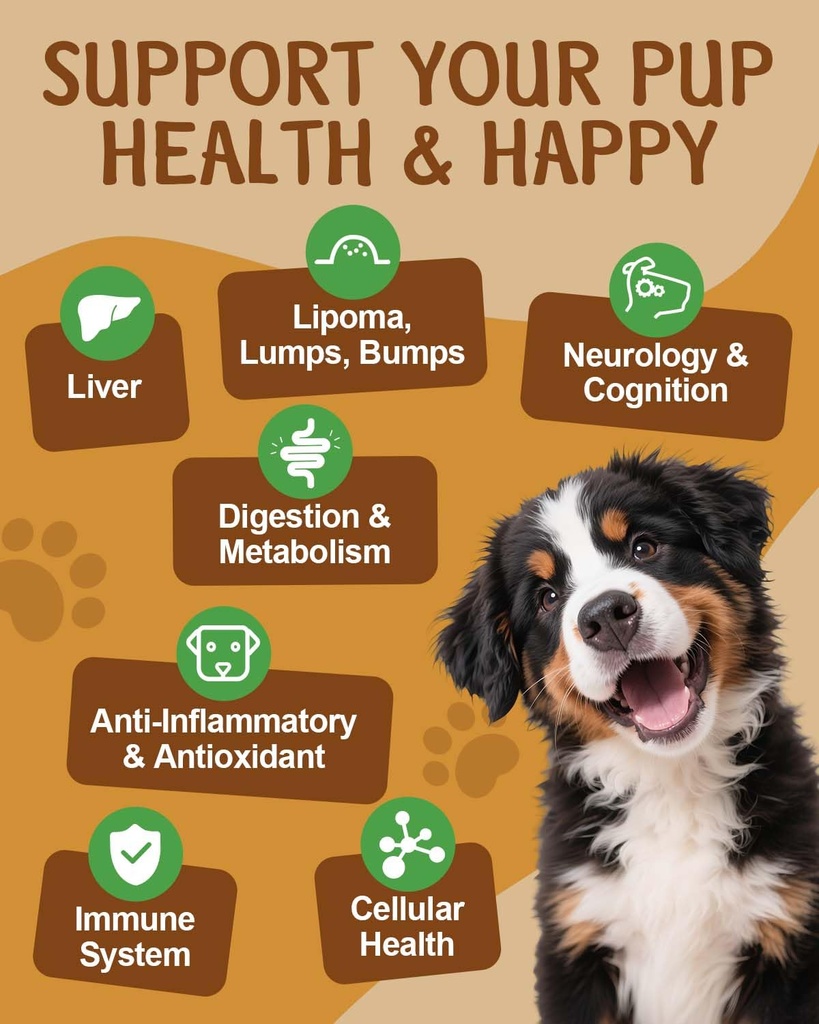 9-in-1-dog-mushroom-powder-drops-4.jpg