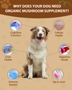 turkey-tail-for-dogs-9-organic-mushroom--2.jpg